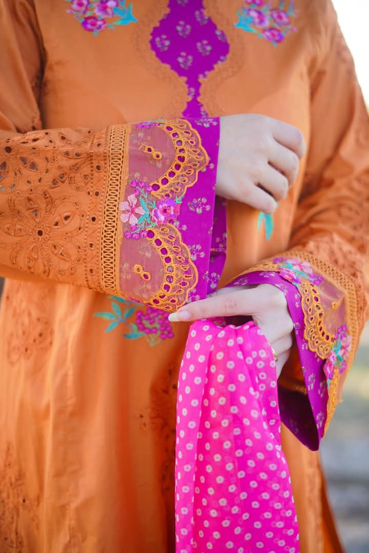AAneela's Brand Dress original
