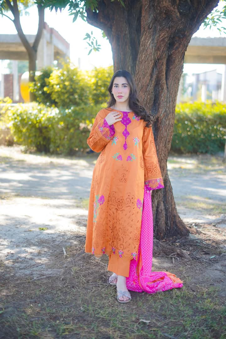 AAneela's Brand Dress original
