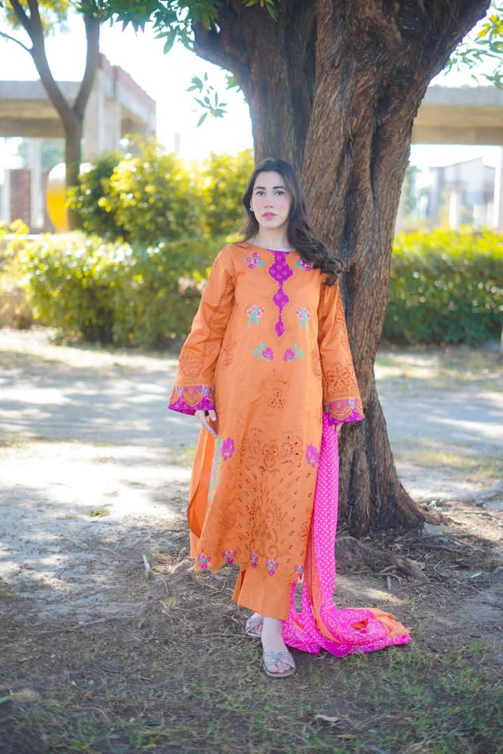 AAneela's Brand Dress original